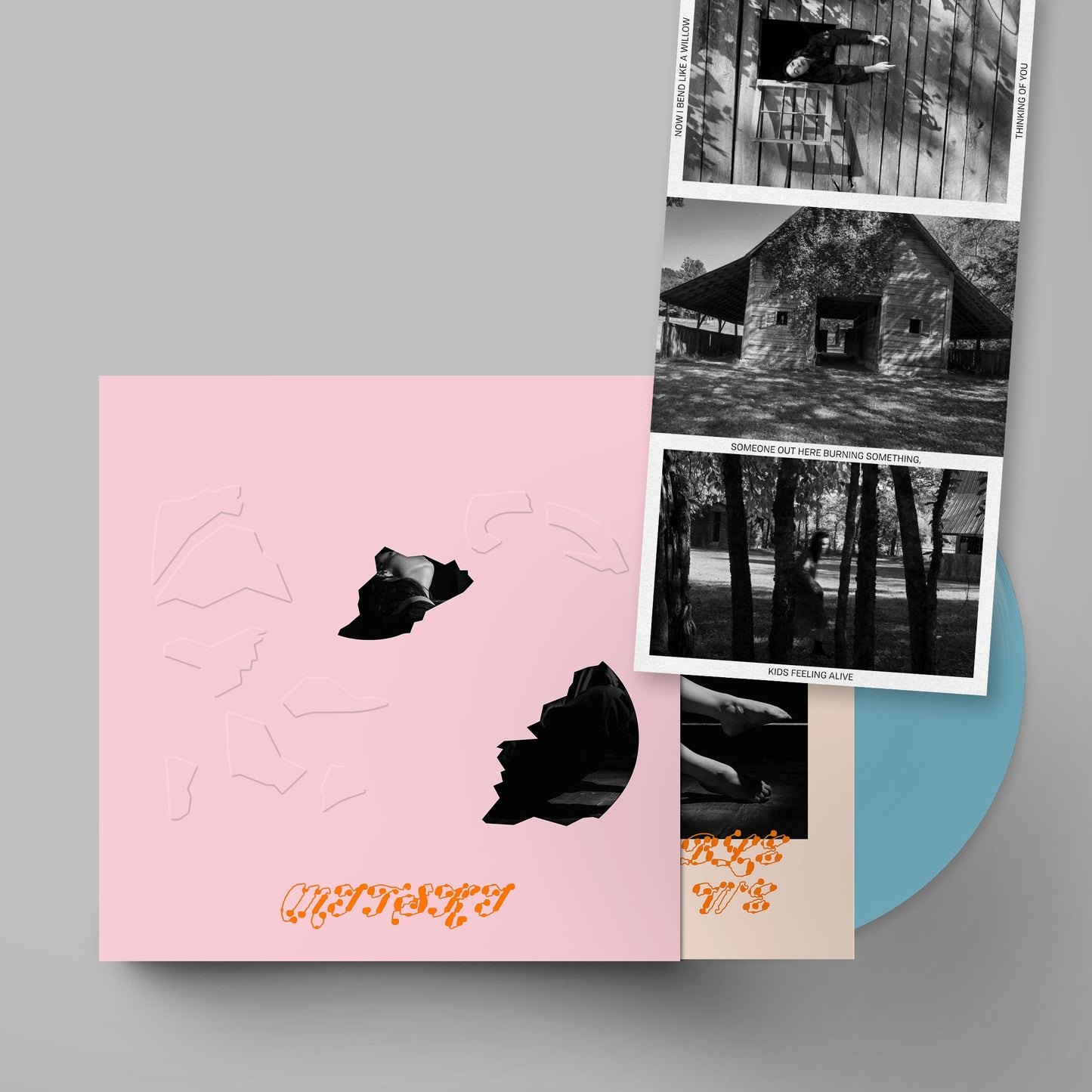 Mitski - The Land Is Inhospitable and So Are We (Indie Exclusive) (Vinilo Azul Celeste con Funda en Rosa Bebé)