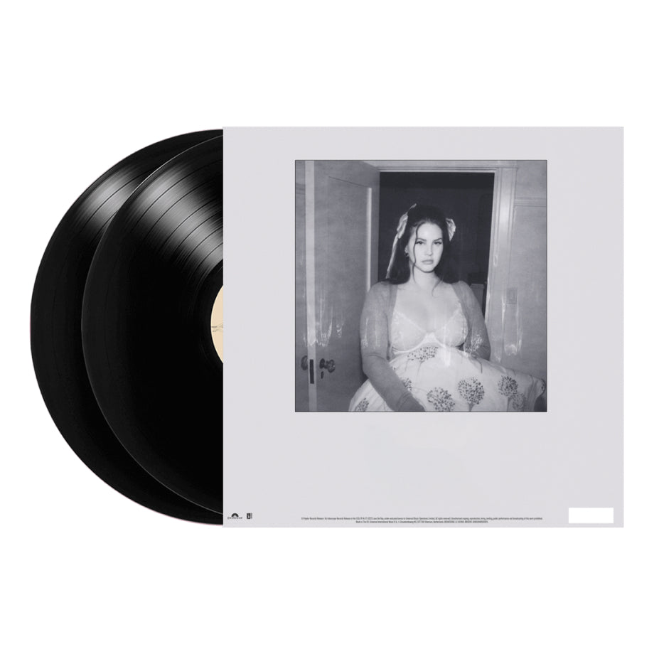 Lana Del Rey - Did you know that there’s a tunnel under Ocean Blvd (Versión estándar)