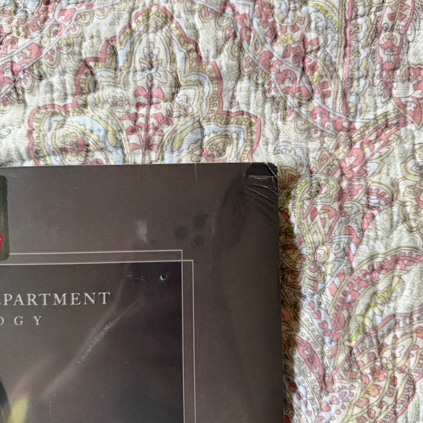 *DAÑADO* Taylor Swift - The Tortured Poets Department: The Anthology (Target Exclusive) 4LP