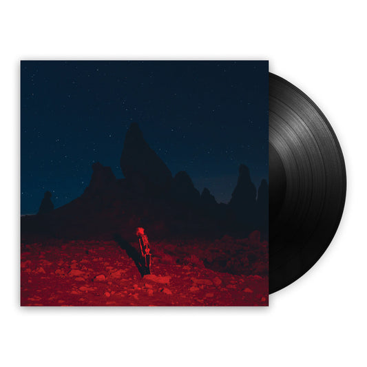 Phoebe Bridgers - Punisher LP